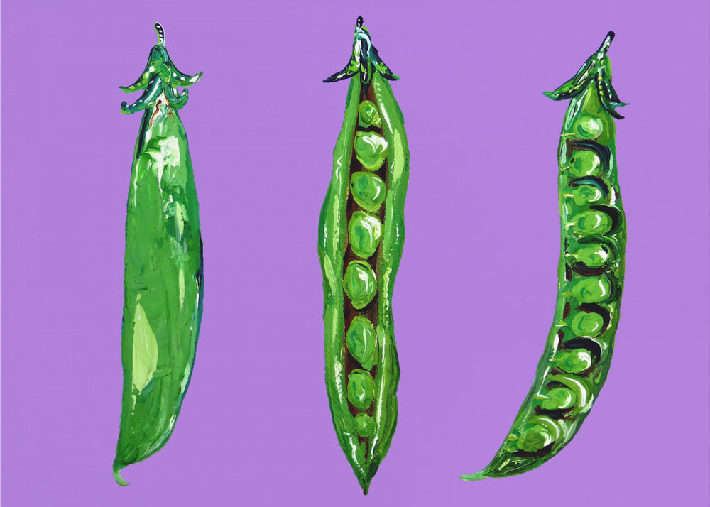 Herneet palkossa | Julisteet - Taidevedokset