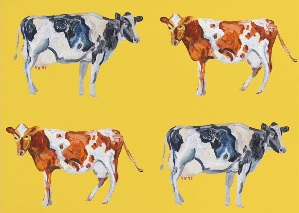 Lehmän taide keltaisella | Canvastaulut