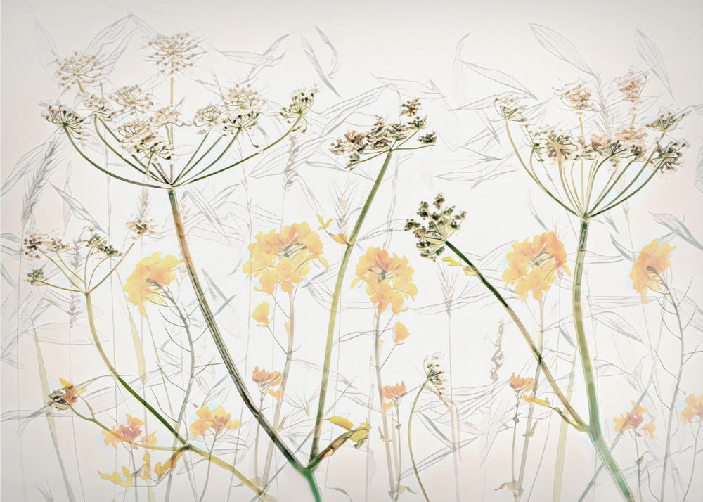 Arte de flores de primavera | Papel Pintado Fotográfico