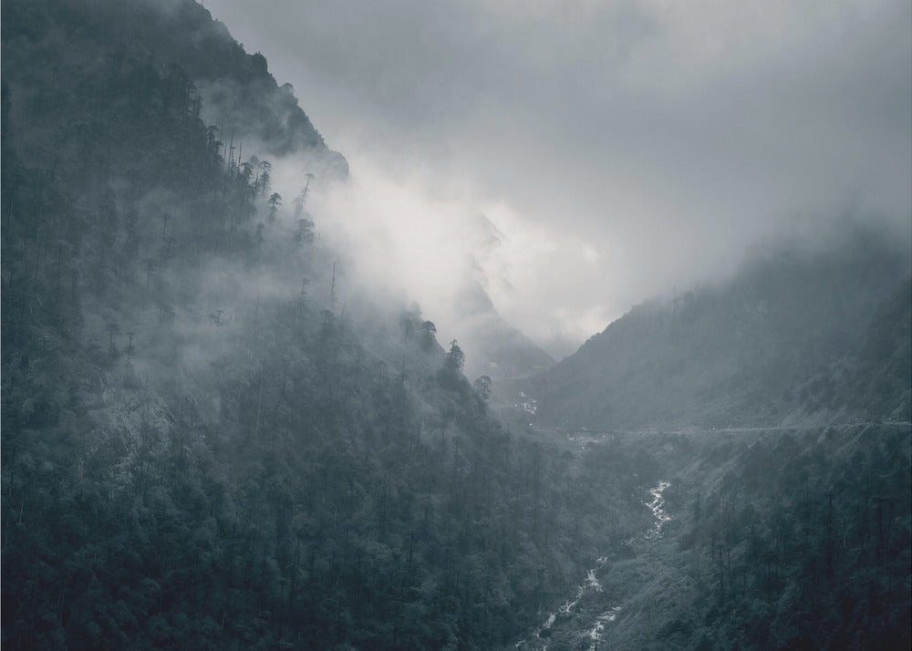 Luonnon draamaa! | Valokuvatapetit