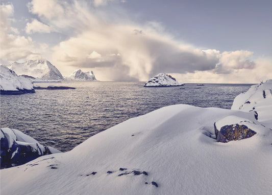Vuono | Valokuvatapetit