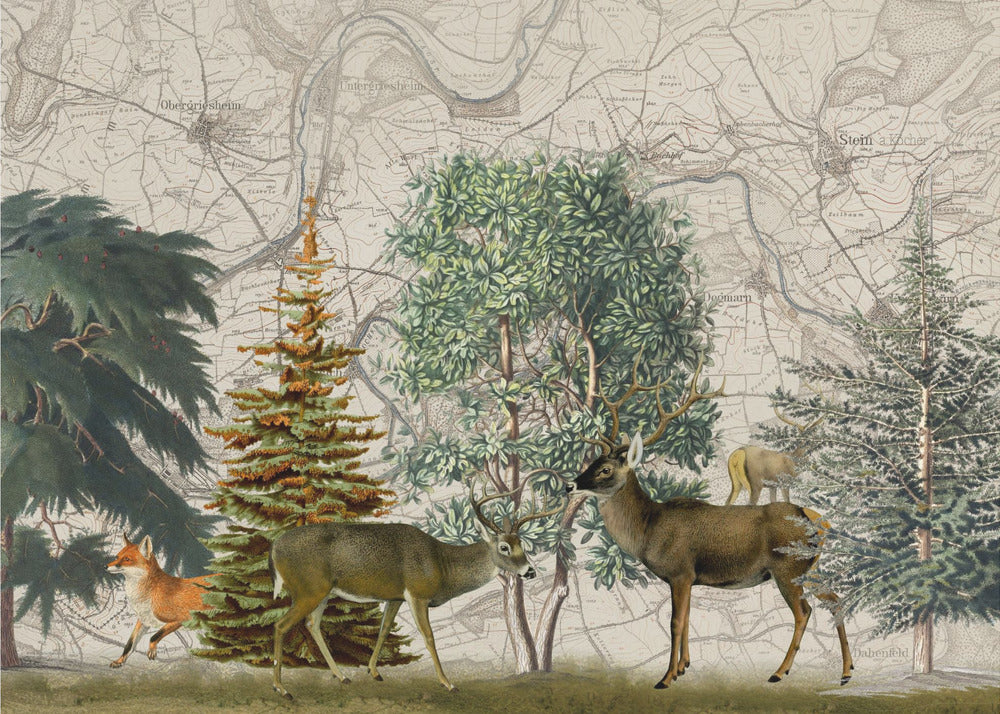 Pohjoismainen Metsä Nro 1 | Valokuvatapetit