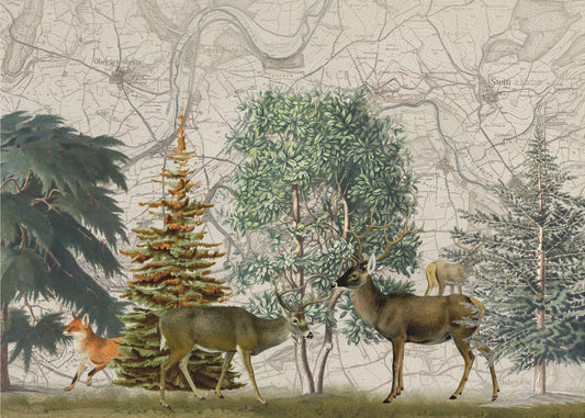 Pohjoismainen Metsä Nro 1 | Valokuvatapetit