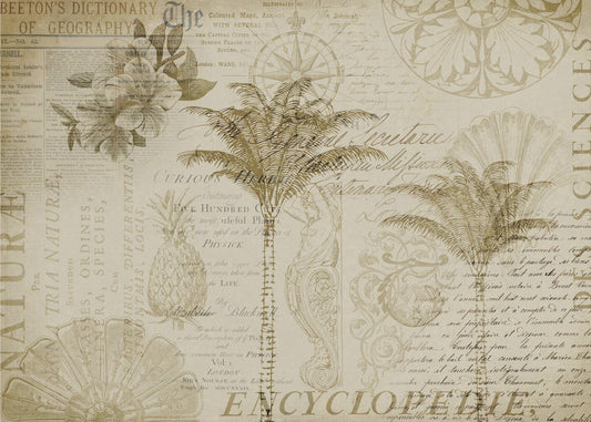 Trooppinen tietosanakirja | Valokuvatapetit