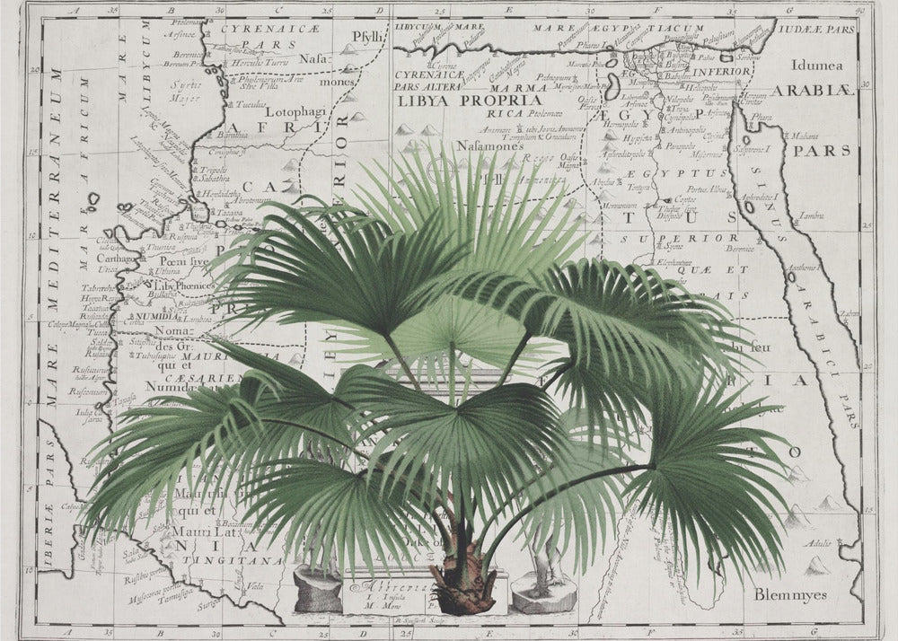 Tropical Empire No3 | Wallpaper