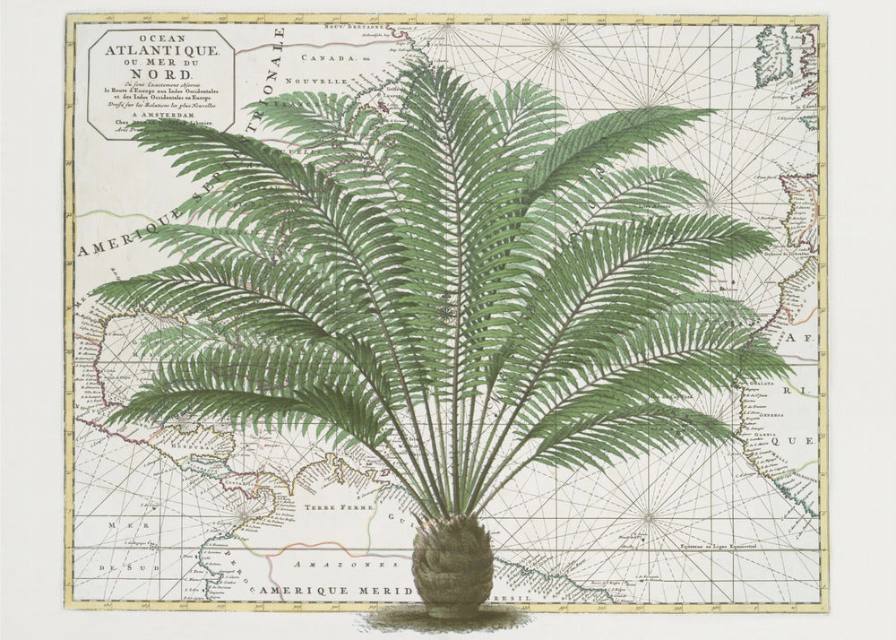 Tropical Empire No5 | Wallpaper