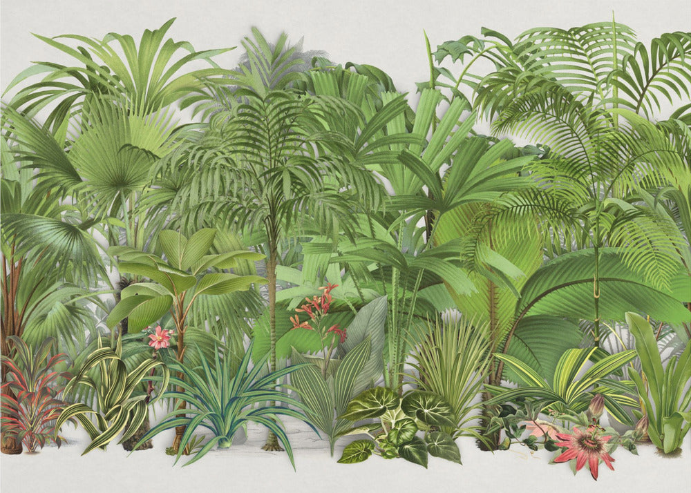 Eksoottinen villieläin 003 | Valokuvatapetit