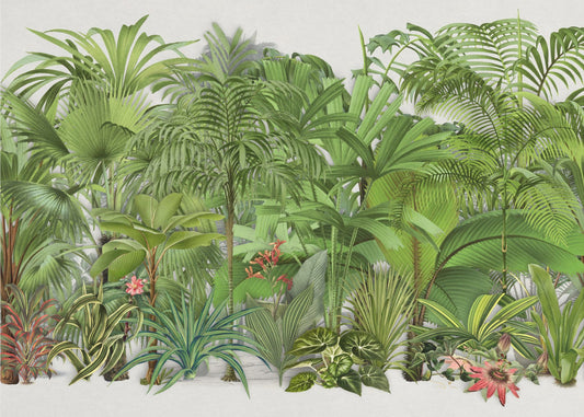 Exotische Tierwelt 003 | Fototapeten