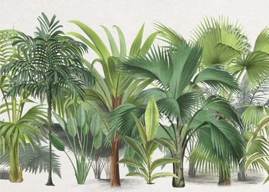 Exotische Tierwelt 004 | Fototapeten