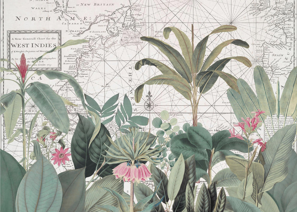 Eksoottinen villieläin 005 1 | Valokuvatapetit