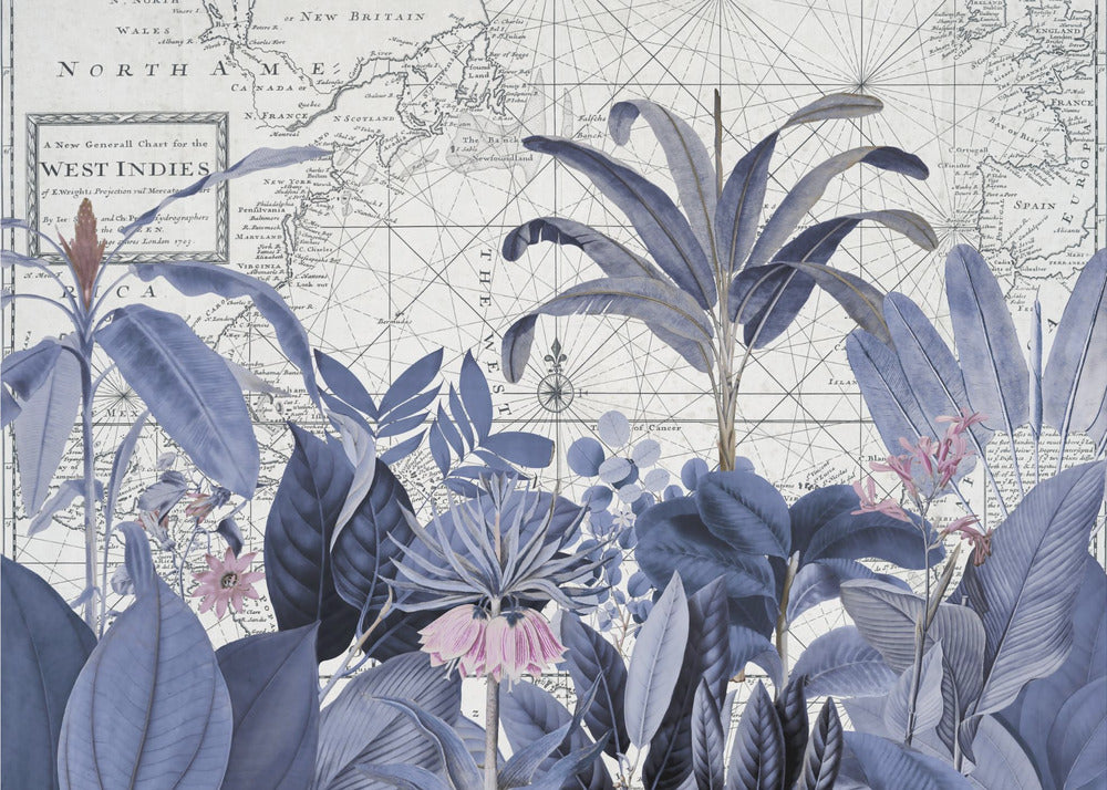 Eksoottinen villieläin 005 2 | Valokuvatapetit