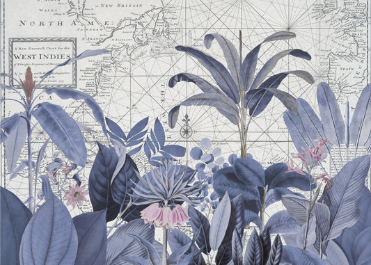 Exotische Tierwelt 005 2 | Fototapeten