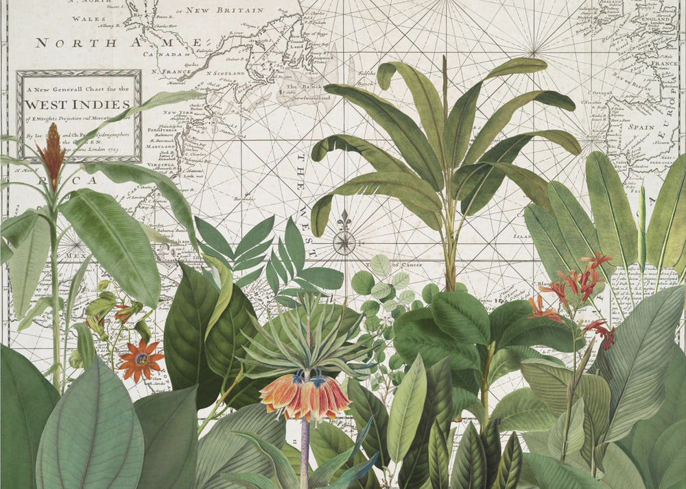 Eksoottinen villieläin 005 | Valokuvatapetit