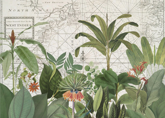 Exotische Tierwelt 005 | Fototapeten