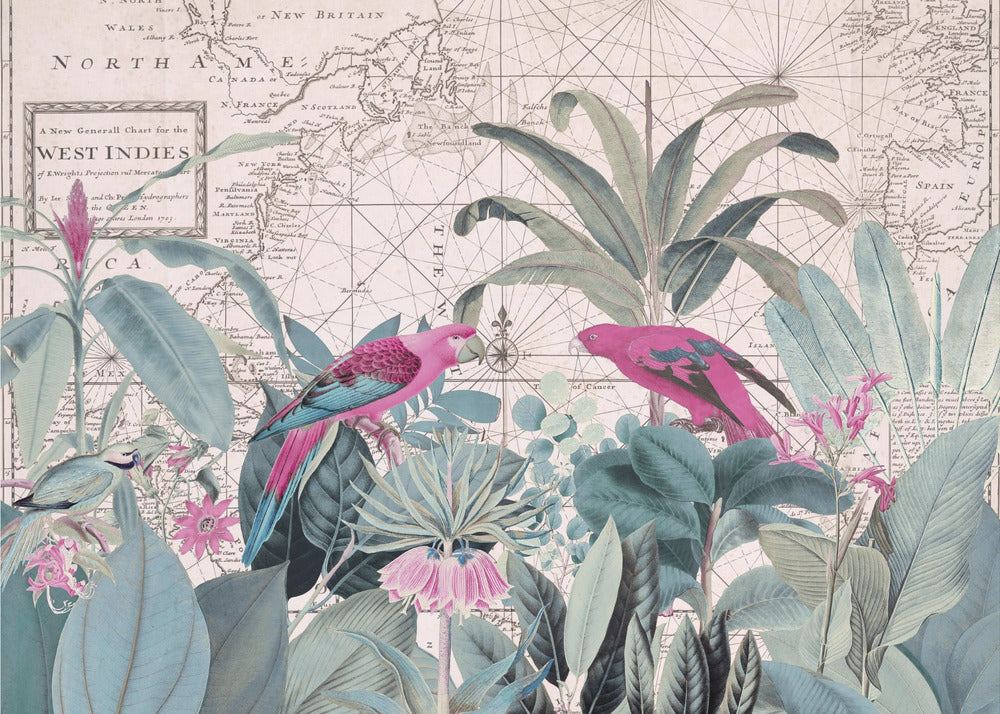 Eksoottinen villieläin 006 1 | Valokuvatapetit