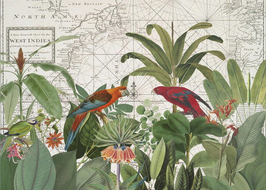 Exotische Tierwelt 006 | Fototapeten