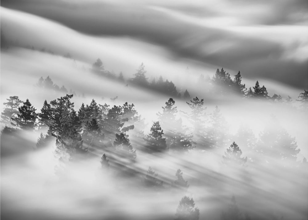 Nimetön | Valokuvatapetit