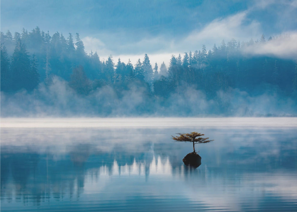 Sumuinen aamu | Valokuvatapetit