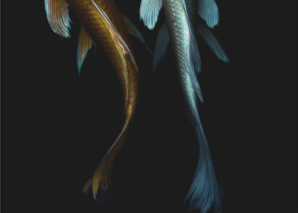 Pari | Valokuvatapetit