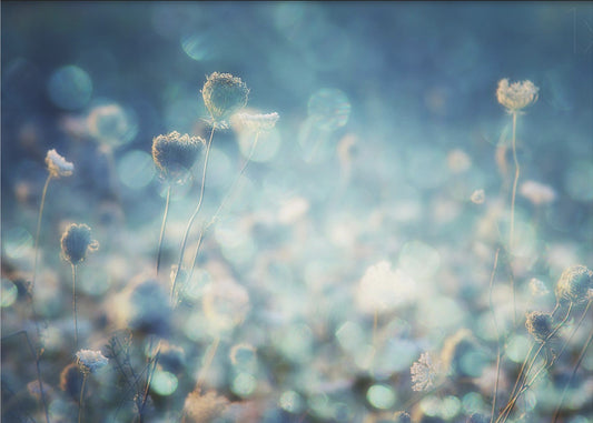 Timantit | Julisteet - Taidevedokset