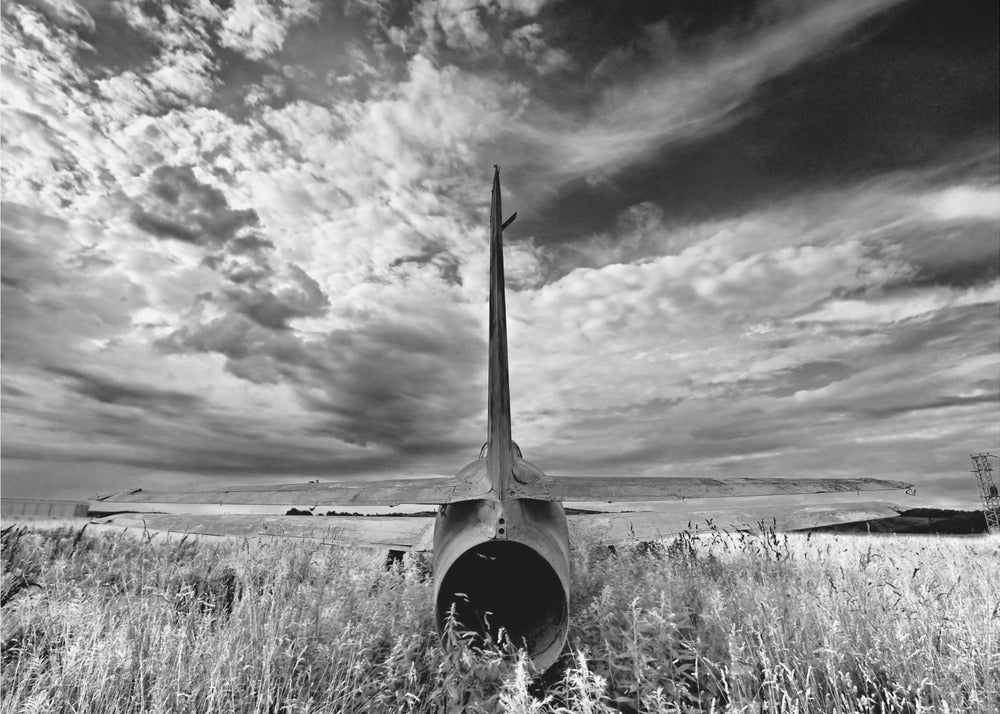 Hale | Lærredsbilleder