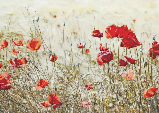 Helteen torjunta | Valokuvatapetit