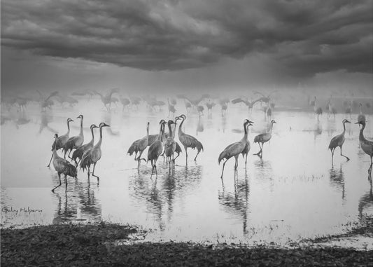 Wschód słońca nad jeziorem | Wydruki na łótnie