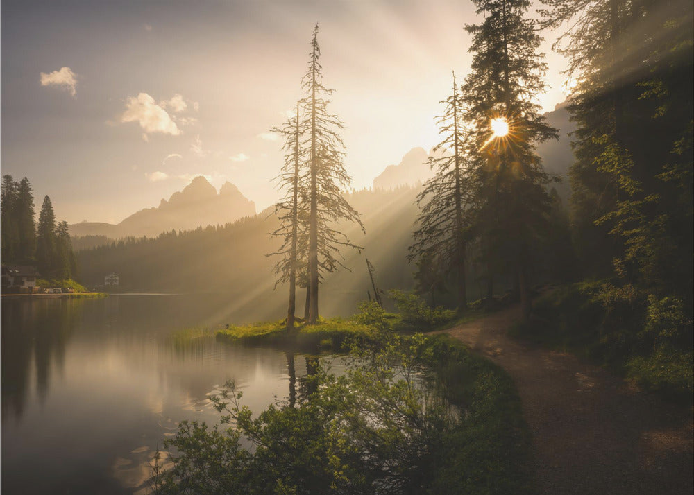 Aamun valo | Valokuvatapetit