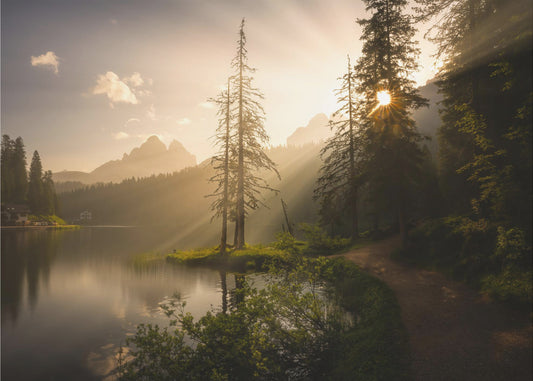 Aamun valo | Valokuvatapetit