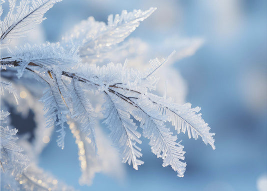 Talvi-ilmeitä nro 6 | Valokuvatapetit