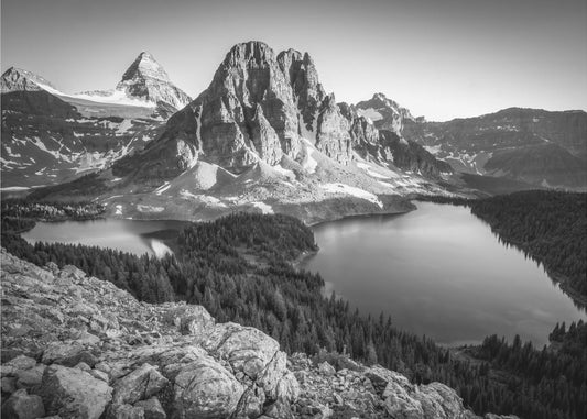 assiniboina | Wydruki na łótnie