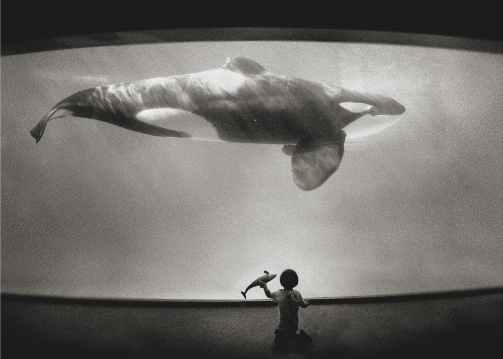 W krainie Orki | Wydruki na łótnie