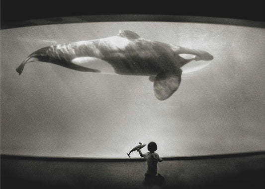 W krainie Orki | Wydruki na łótnie