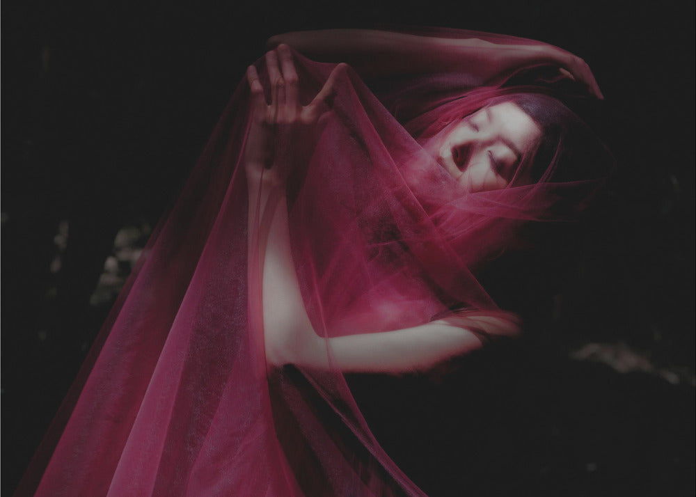 En el bosque | Impresiones en Lienzo