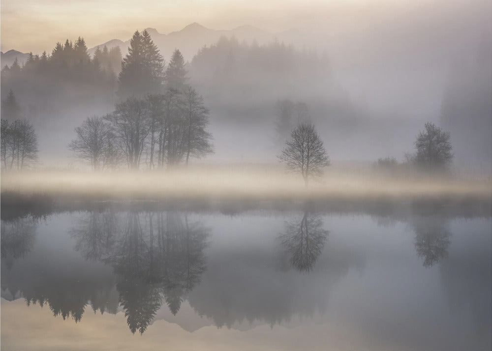 Mattina mistica III | Carta da Parati Fotografica