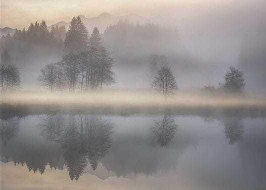 Mattina mistica III | Carta da Parati Fotografica