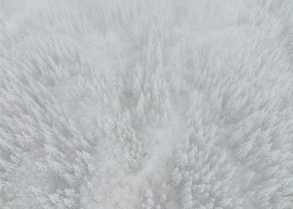 White out | Wallpaper
