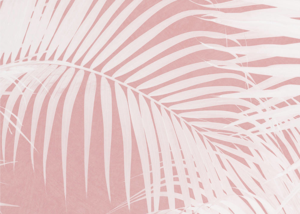Palm Leaves On Pink Silhouette IV | Wallpaper