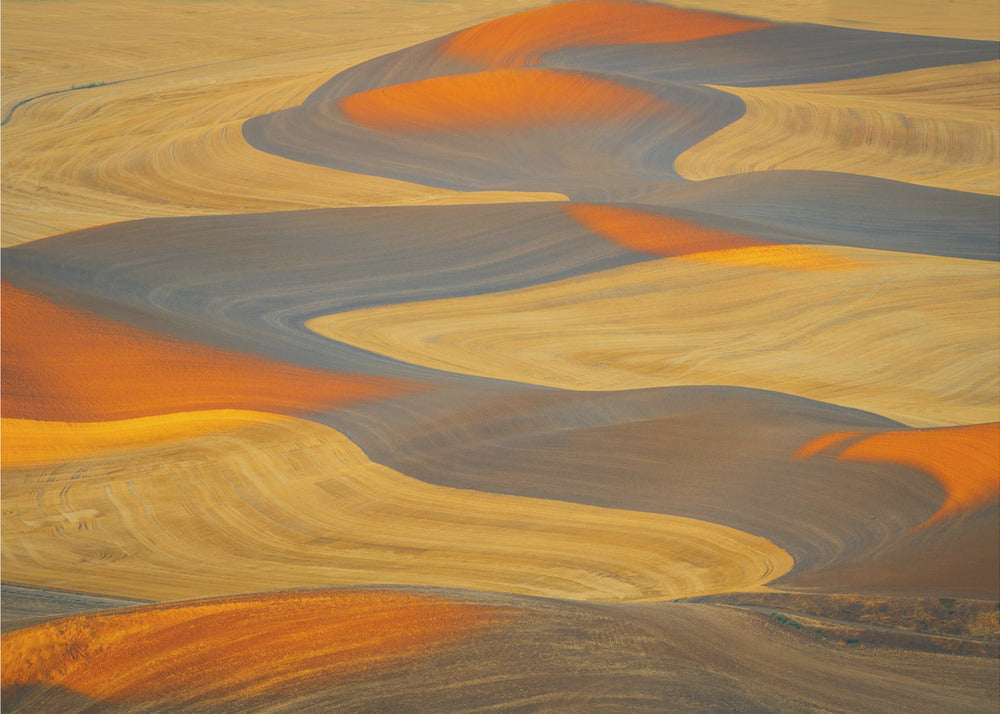 Tierra Pintada | Impresiones en Lienzo