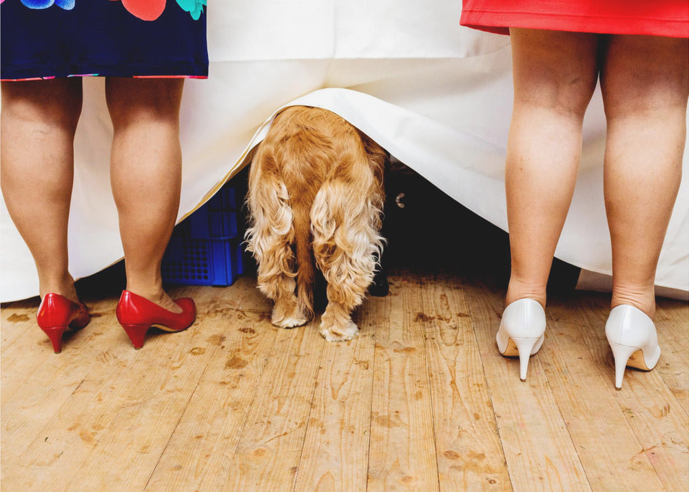 Naiset buffetpöydässä... | Canvastaulut