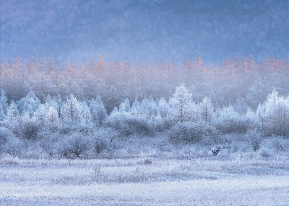 Autumn and Winter gradients | Wallpaper