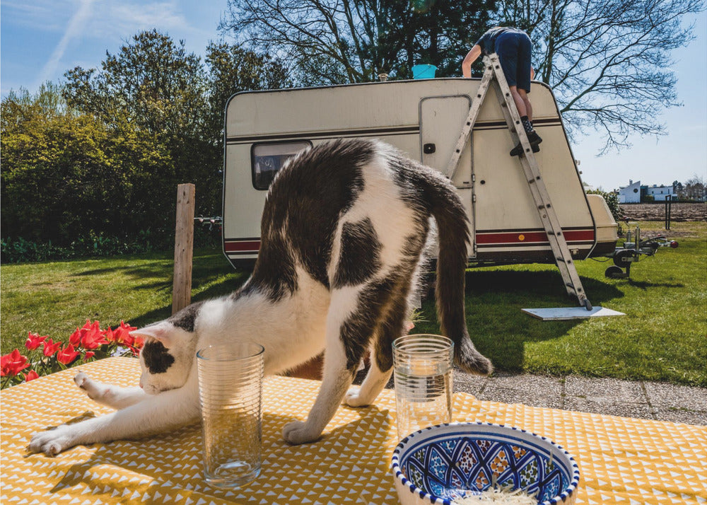 Symuluj pozy... | Wydruki na łótnie