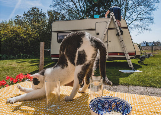 Simuloi asentoja... | Canvastaulut