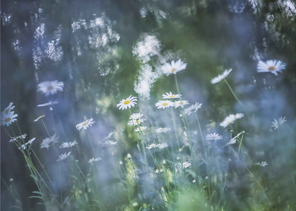 Un soplo de azul | Papel Pintado Fotográfico