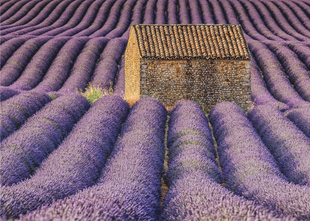 La choza Papel Pintado Fotográfico