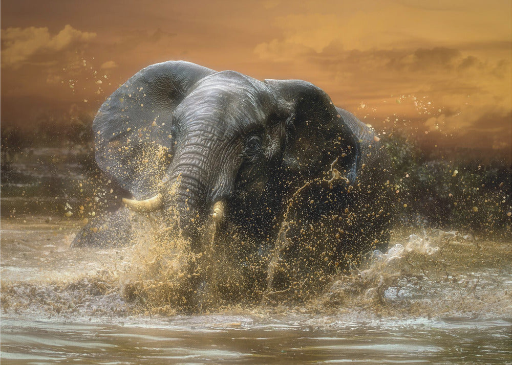 Libre para jugar | Papel Pintado Fotográfico