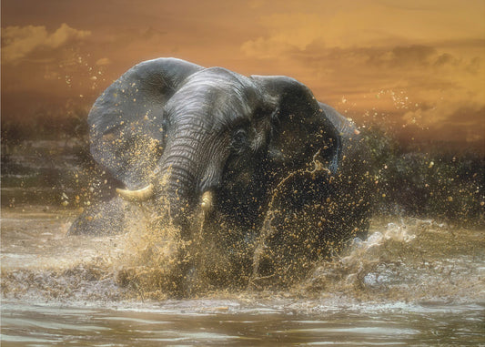 Libre para jugar | Papel Pintado Fotográfico