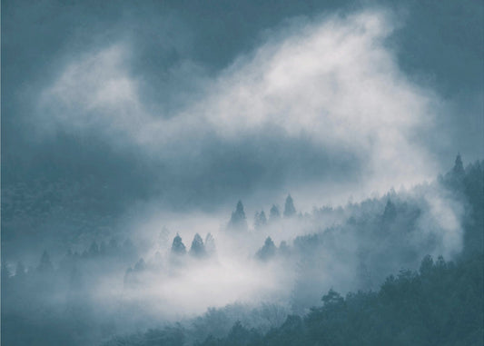 sumu | Valokuvatapetit