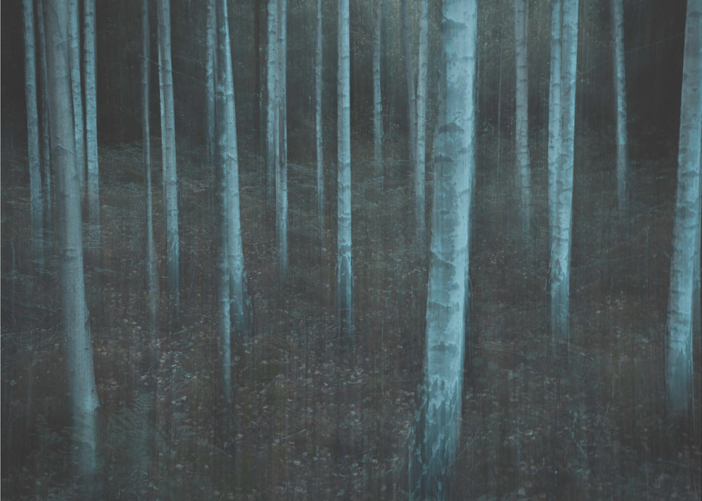 ICM v3 | Leinwand-Bilder