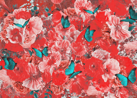 Kesätuuli Raphael | Valokuvatapetit